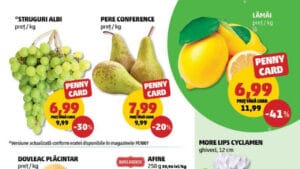 fructe si legume in noul catalog Penny din 26 august 2026