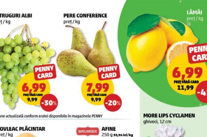Promotii speciale la fructe si legume in noul catalog Penny din 26 august 2026: Reduceri la piata de prospetimi fructe si legume in noul catalog Penny din 26 august 2026